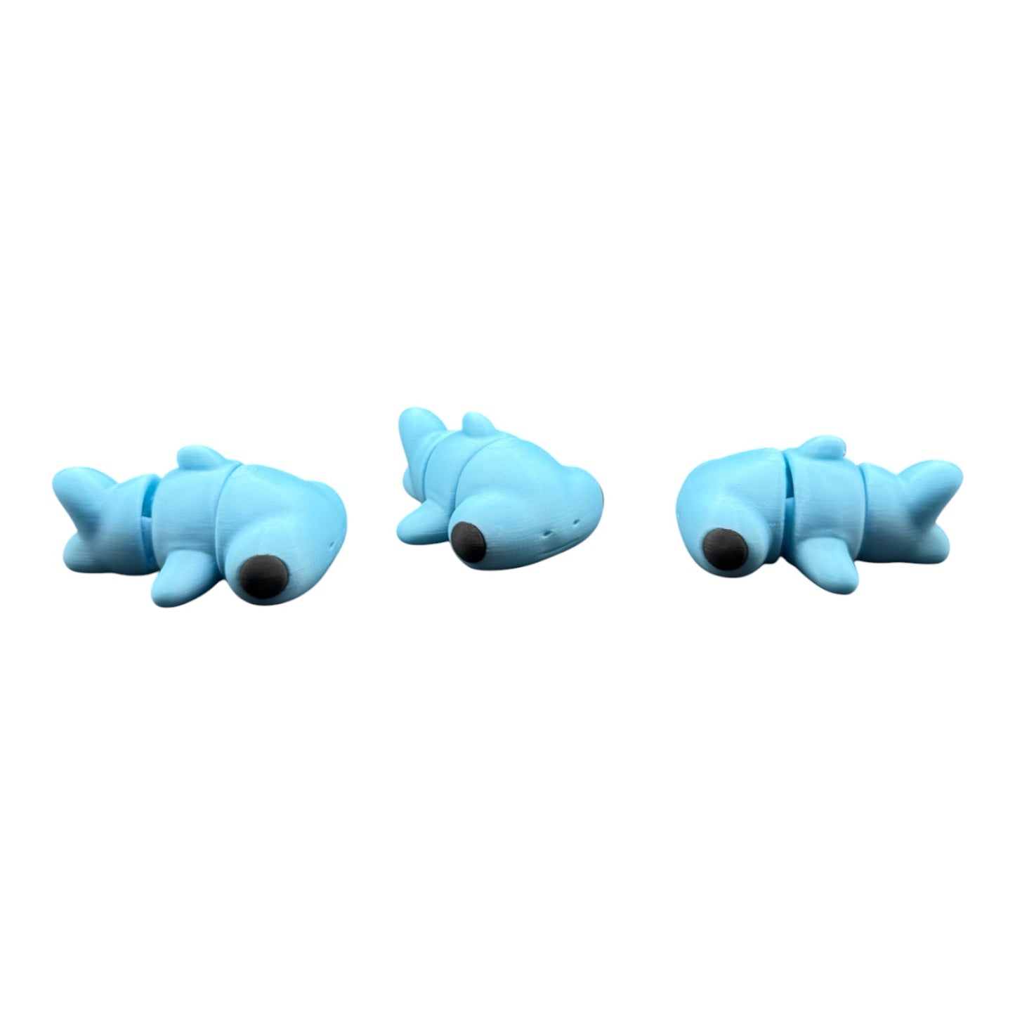 Baby Hammerhead Shark