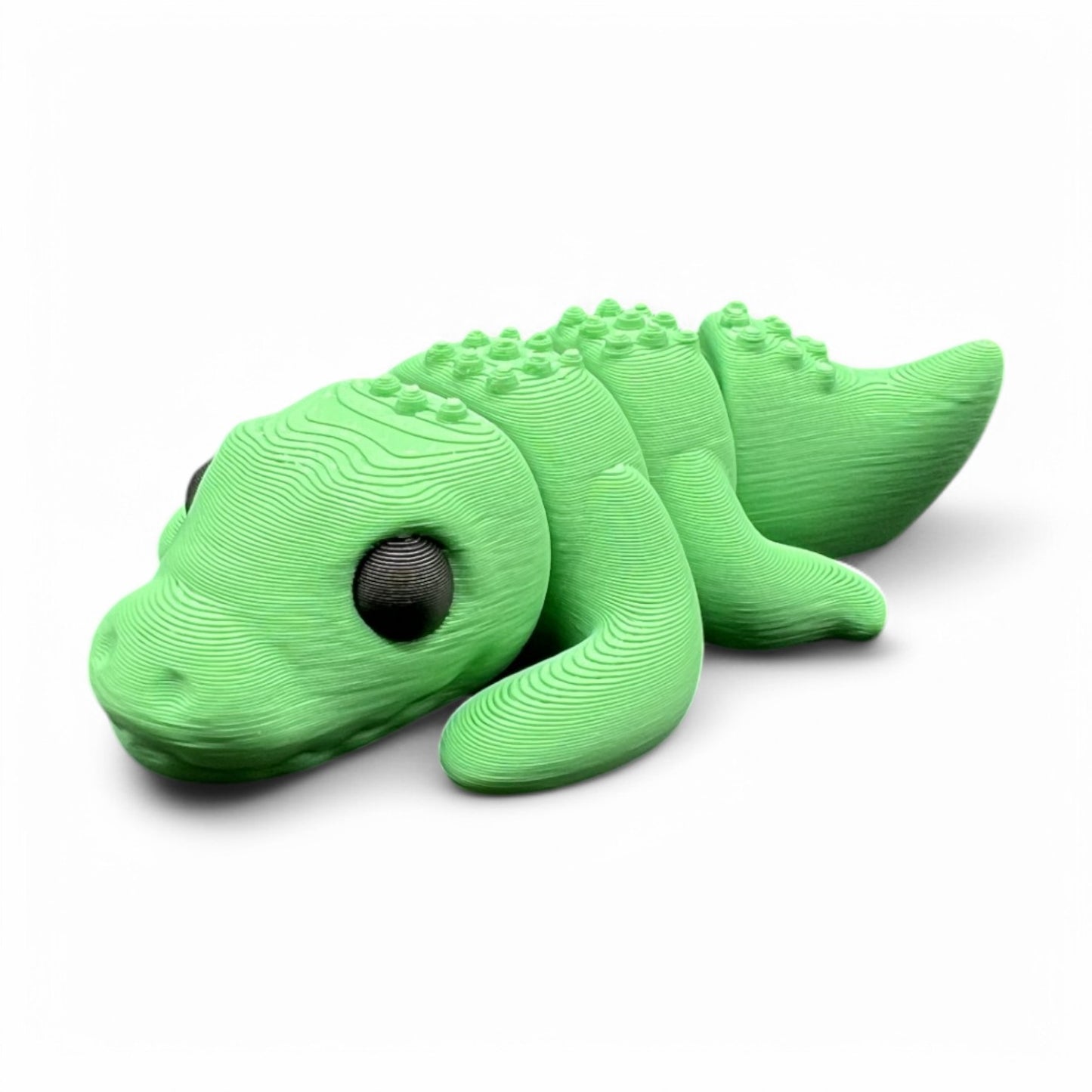 Baby Crocodile