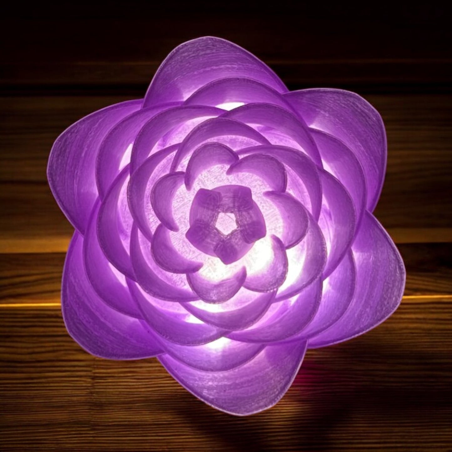 Illuminated Rose