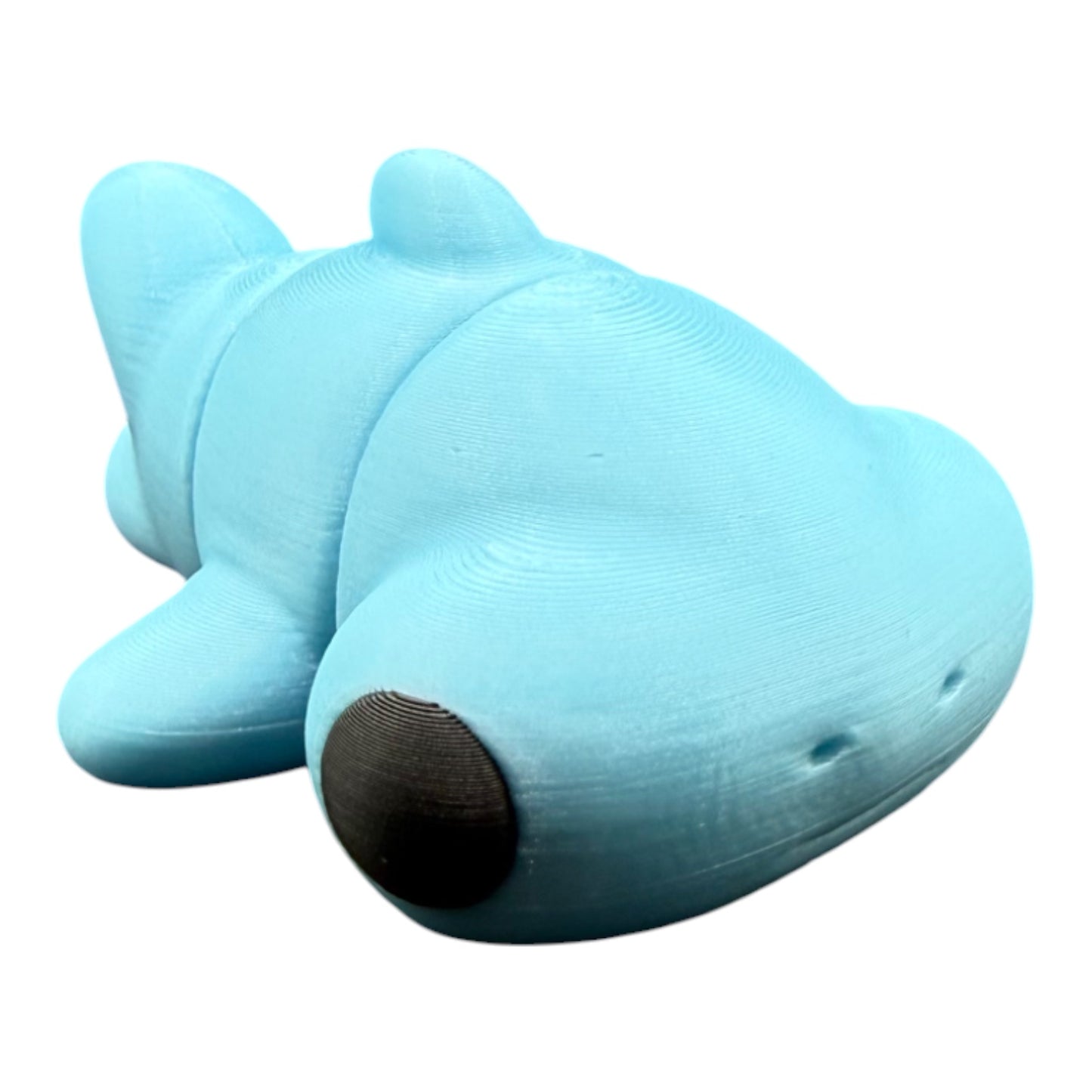 Baby Hammerhead Shark