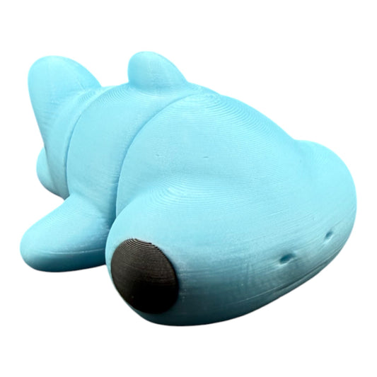 Baby Hammerhead Shark